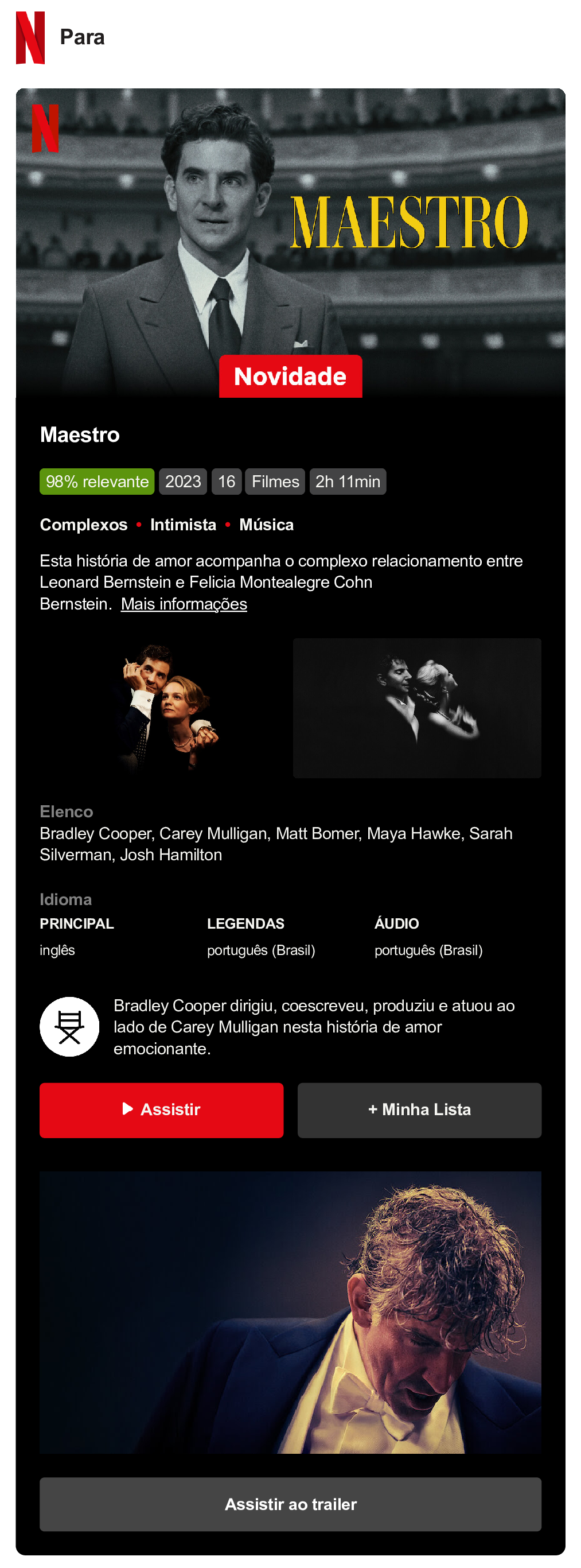 modelos-de-newsletter-netflix modelos-de-newsletter-netflix