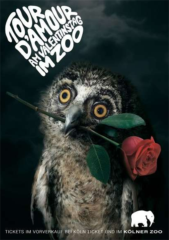 El Zoológico de Colonia produjo un encantador anuncio para el 14 de febrero