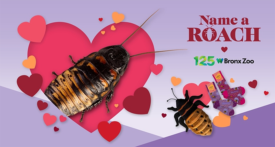 El Zoológico del Bronx tiene una campaña para el 14 de febrero muy inusual e incómoda pero efectiva
