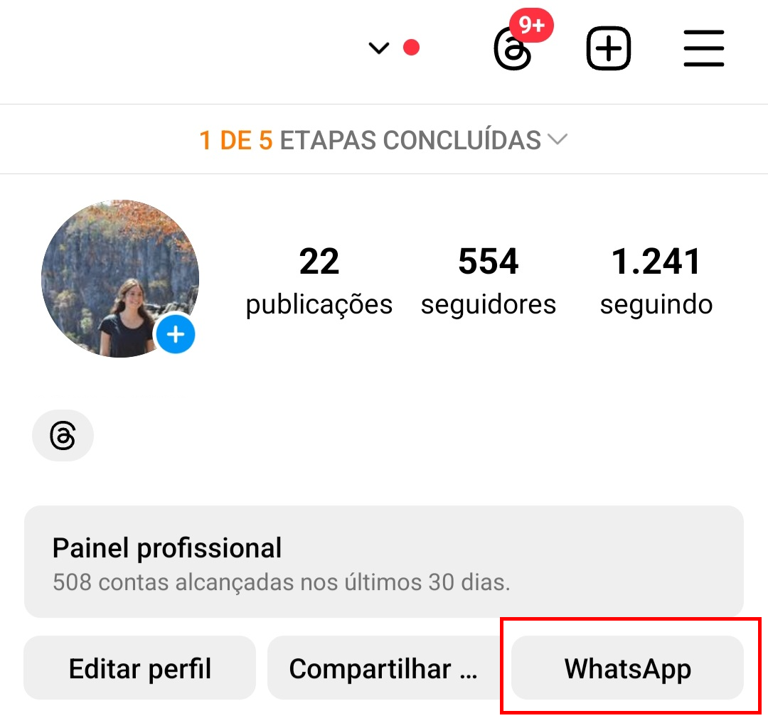 como-colocar-link-do-whatsapp-no-instagram-botao