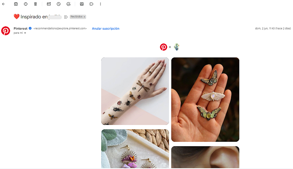 Pinterest segmenta efectivamente sus campañas de email marketing Pinterest segmenta efectivamente sus campañas de email marketing