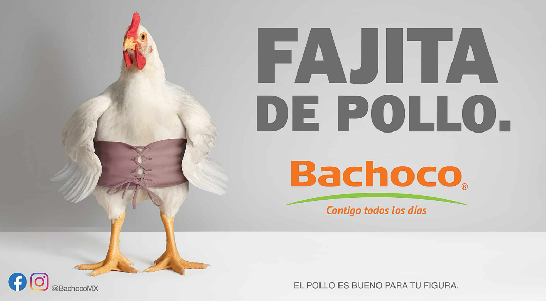 Bachoco siempre ha creado publicidad creativa e irreverente Bachoco siempre ha creado publicidad creativa e irreverente