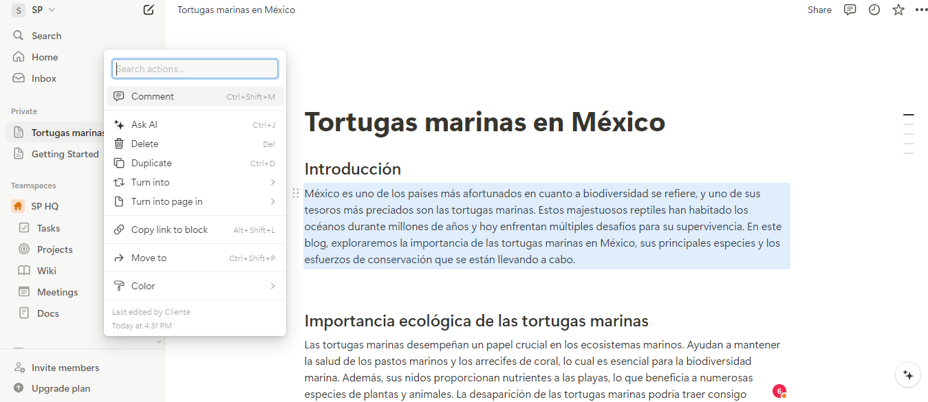 Blom es una gran herramienta de código abierto de IA para redactar