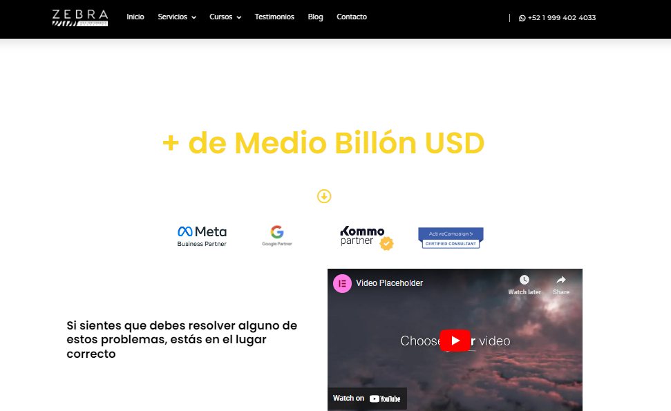 Zebra es una de las mejores agencias de marketing y de las mejor posicionadas en el mercado Zebra es una de las mejores agencias de marketing y de las mejor posicionadas en el mercado