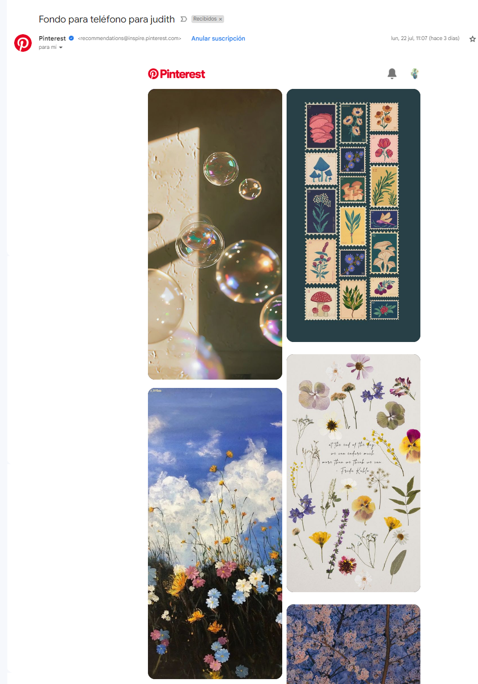 Pinterest sabe cómo hacer email marketing y tener una buena tasa de apertura Pinterest sabe cómo hacer email marketing y tener una buena tasa de apertura