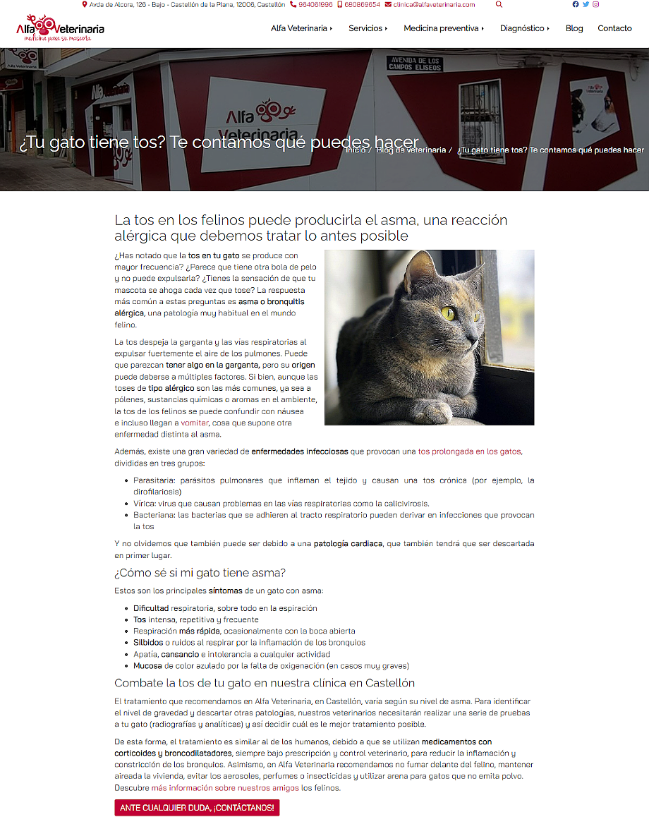 Tener contenido con jerarquía correcta es fundamental para SEO