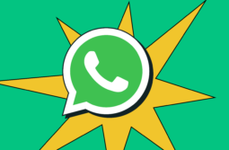 Como usar número virtual no WhatsApp Business: guia completo 