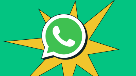 Como usar número virtual no WhatsApp Business: guia completo 
