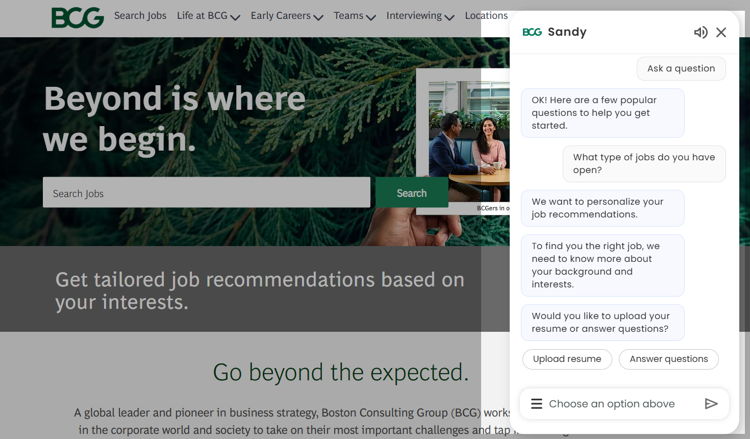 Boston Consulting Group chatbot Boston Consulting Group chatbot
