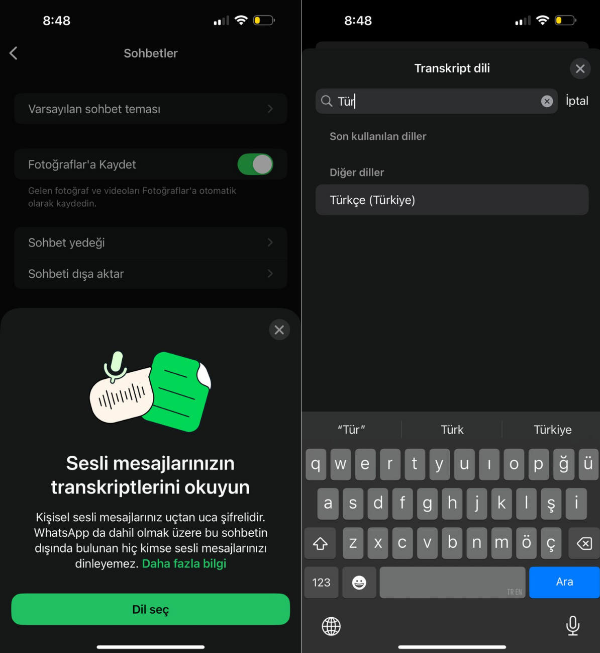 WhatsApp sesli mesaj dökümleri için menüden bir dil seçme