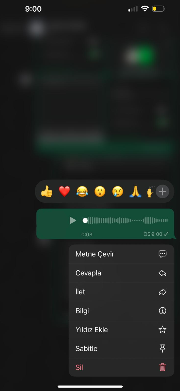 WhatsApp'ta bir sesli mesaj