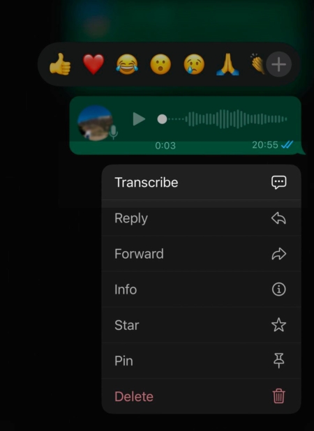 Un message vocal sur WhatsApp