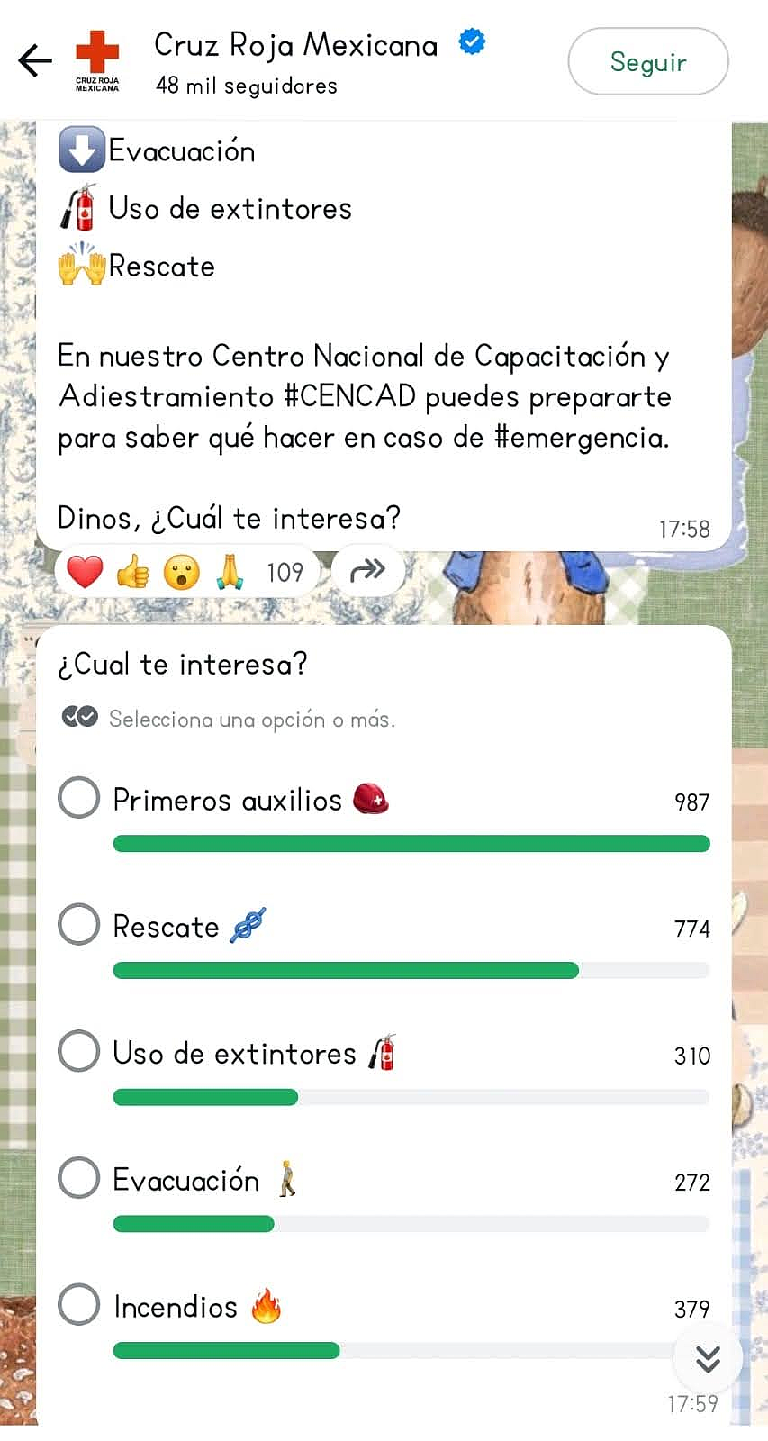Los canales son una herramienta provechosa para las empresas en WhatsApp Los canales son una herramienta provechosa para las empresas en WhatsApp