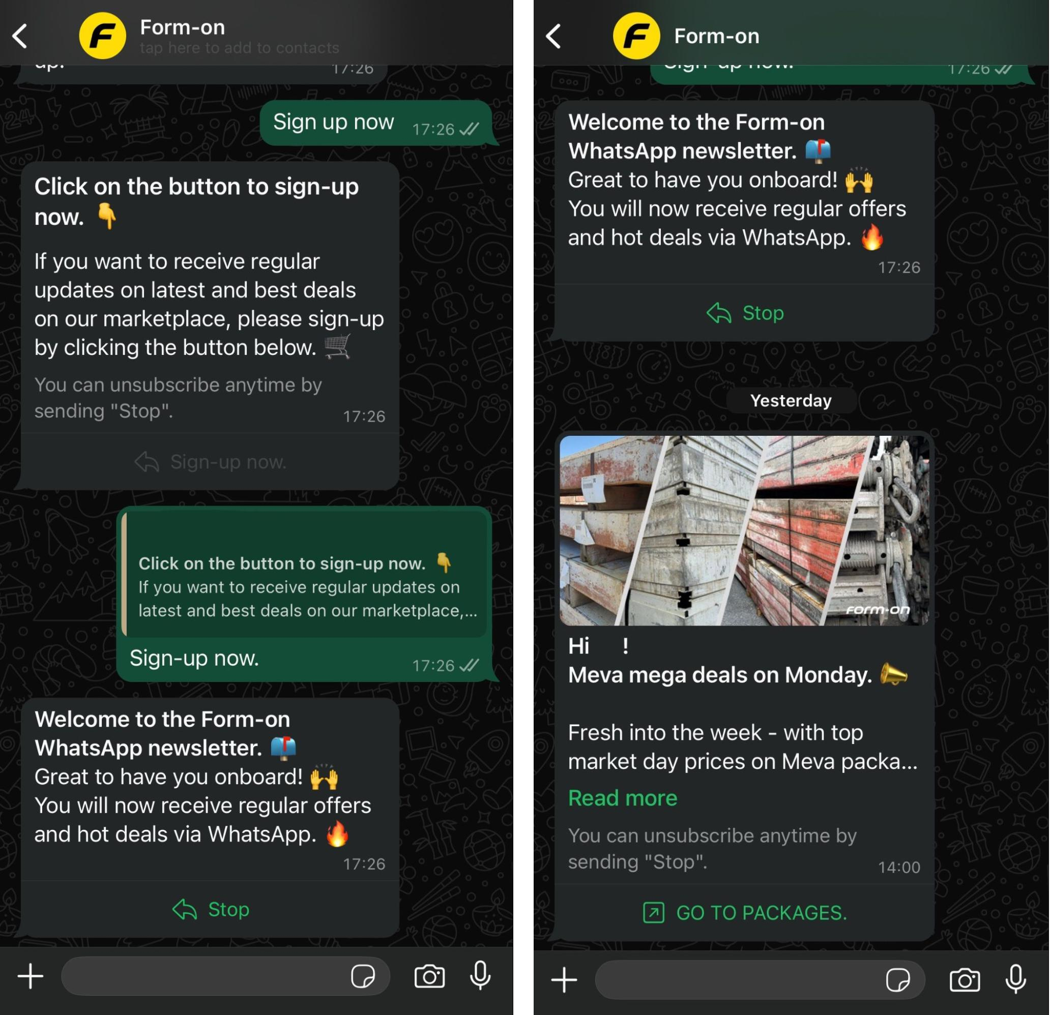 WhatsApp newsletter example