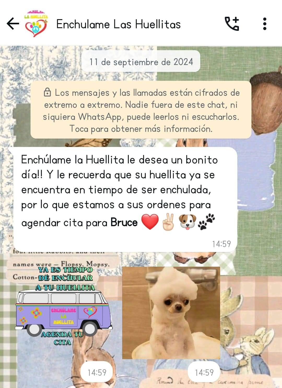 Usar stickers en WhatsApp es efectivo para conectar fácilmente con clientes