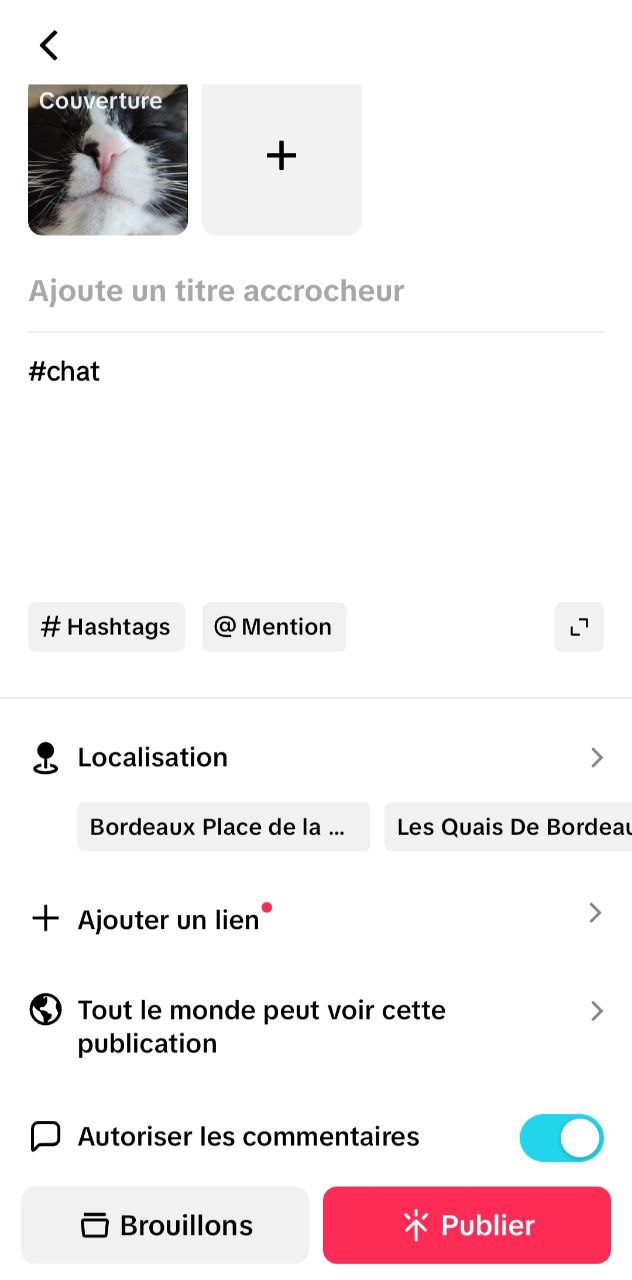 Ajout des tags dans un profil TikTok