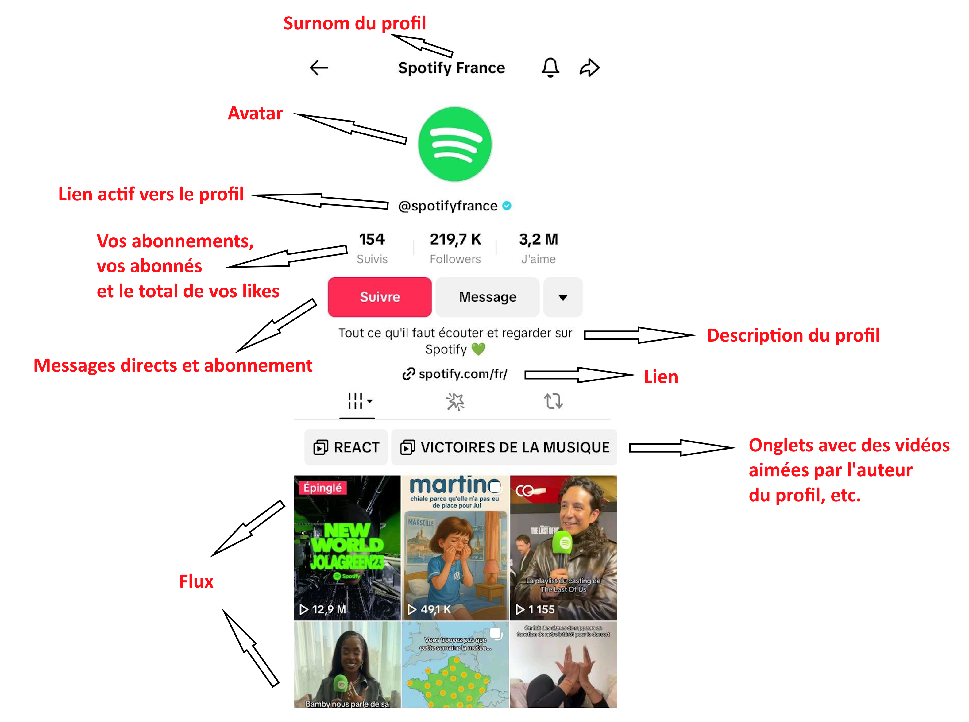 Une capture d'écran du profil TikTok montrant les éléments importants