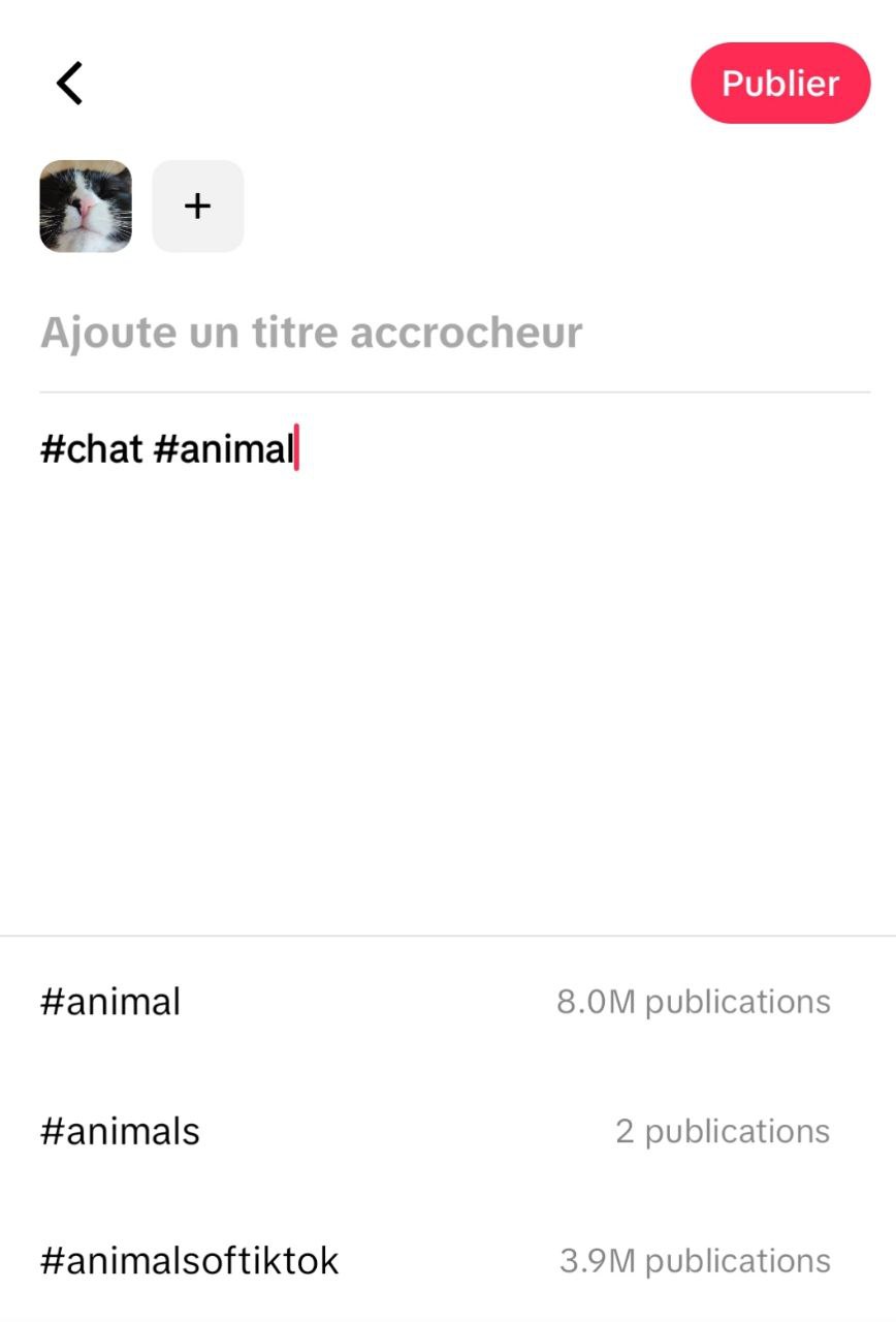Un exemple de promotion de TikTok à partir de zéro en utilisant des hashtags