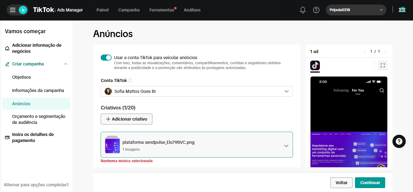 quinto-passo-de-como-anunciar-no-tiktok
