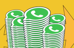 How to Create WhatsApp Newsletters That Drive Results [+Examples] 