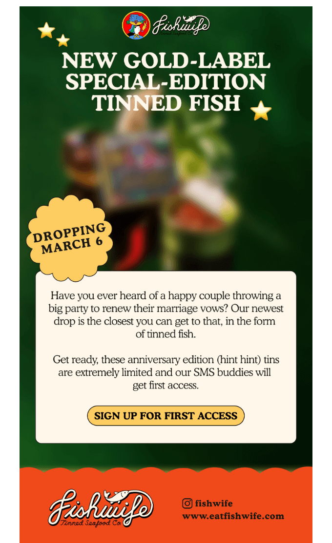 teaser email example teaser email example