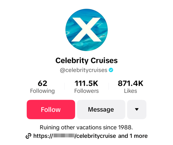 cool TikTok bio idea cool TikTok bio idea