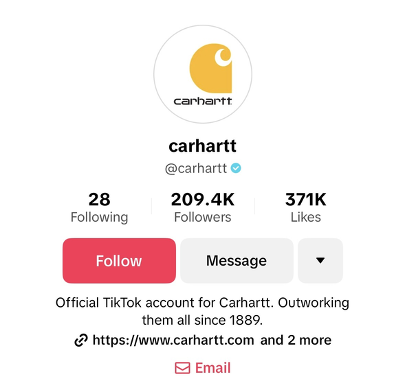 TikTok bio example with a brand statement TikTok bio example with a brand statement