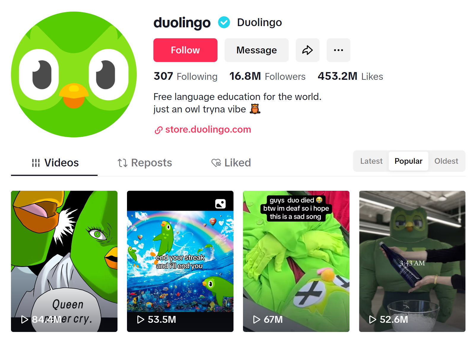 Duolingo's TikTok for business account Duolingo's TikTok for business account