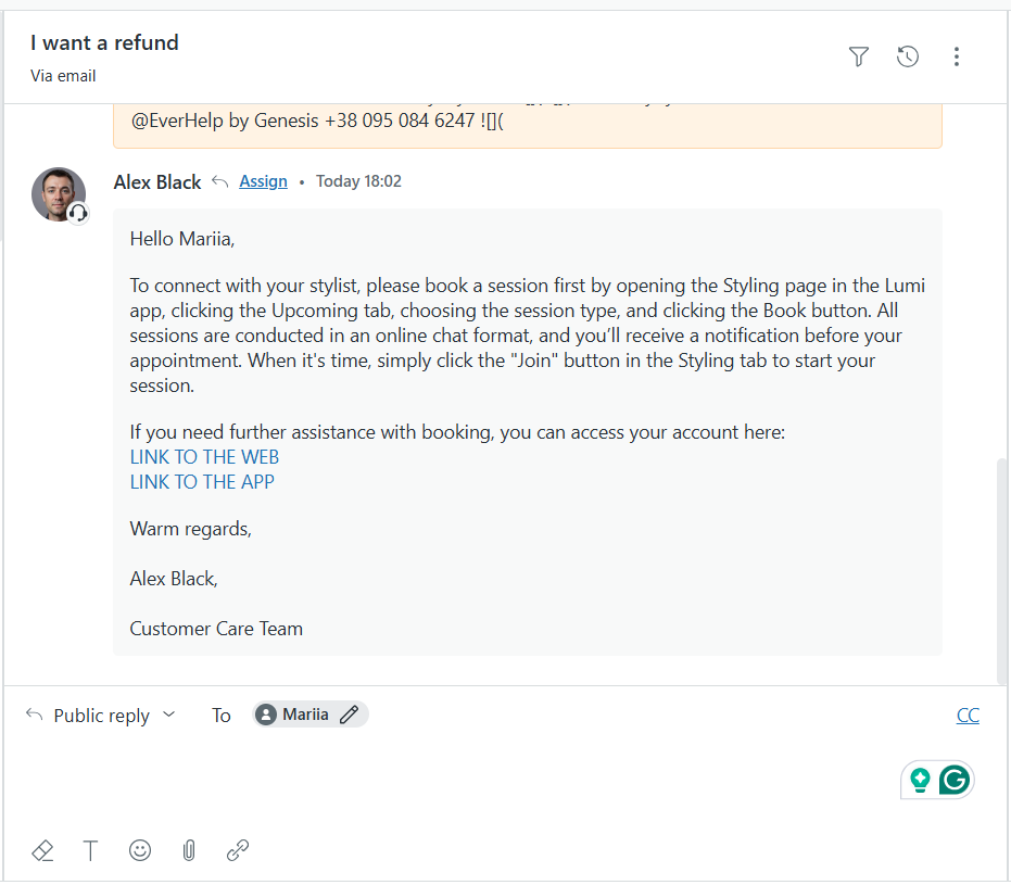 co-pilot agent interface