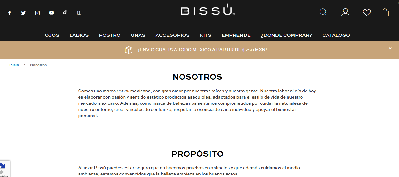 Página online de Bissú muestra sus valores y propósito a sus clientes