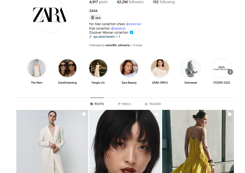 Branding empresarial de Zara en Instagram 
