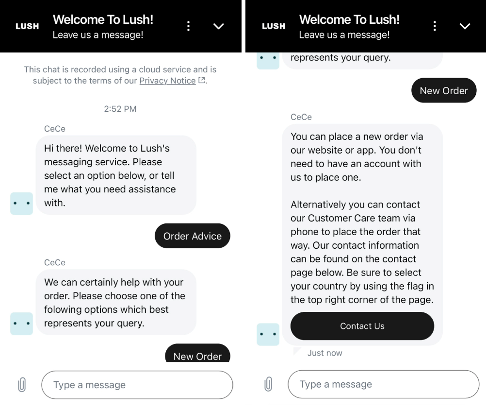 website chatbot by Lush