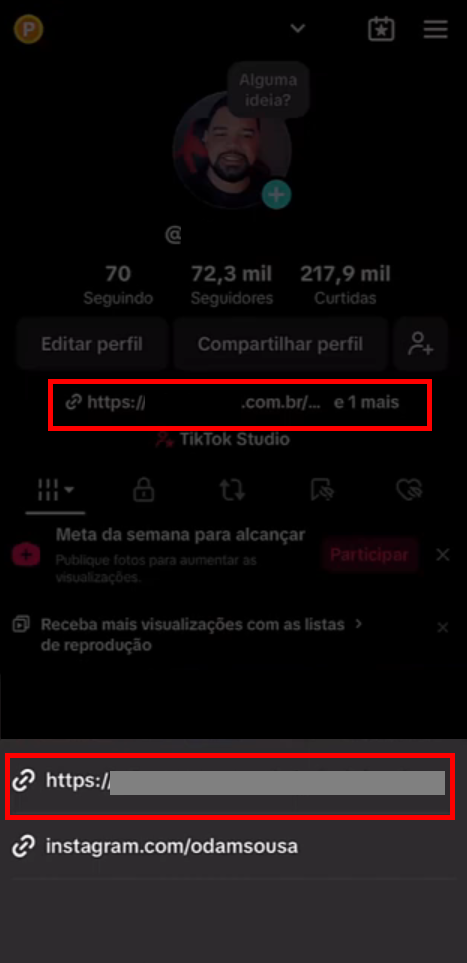 quinto-passo-de-como-colocar-link-na-bio-do-tiktok