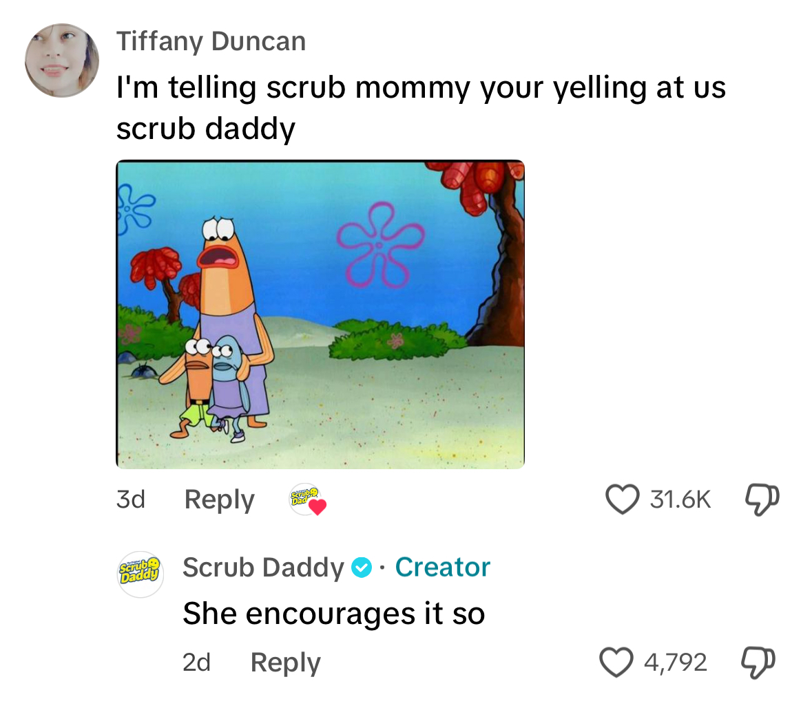 Scrub Daddy is having viral moments on TikTok