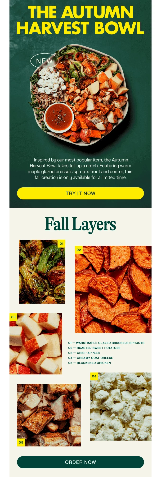 Ejemplo del uso de los colores en un correo para atraer la atención de la audiencia