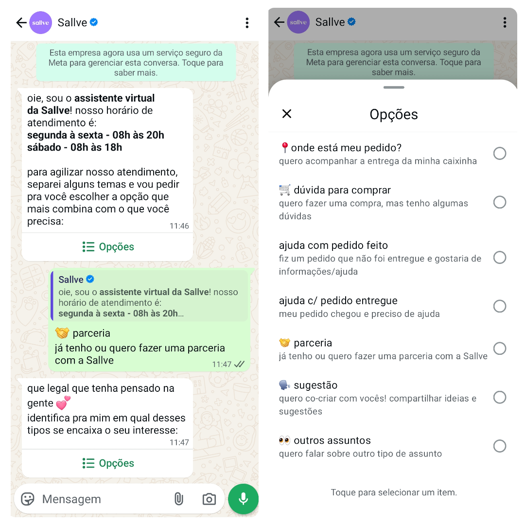 chatbots-exemplos-sallve
