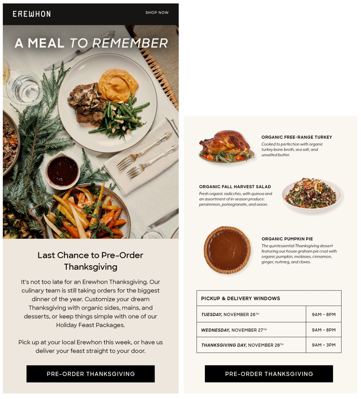 Thanksgiving email example