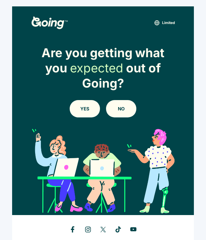 Product feedback survey email example