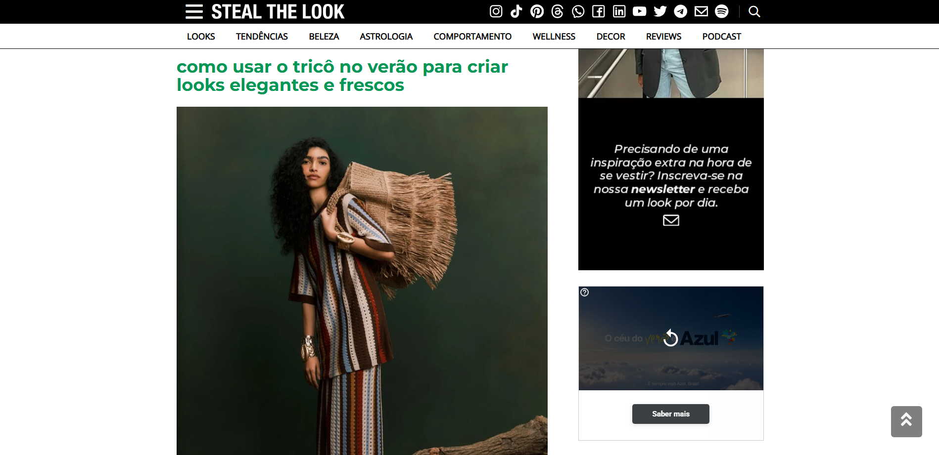 seo-para-blog-exemplo-do-steal-the-look