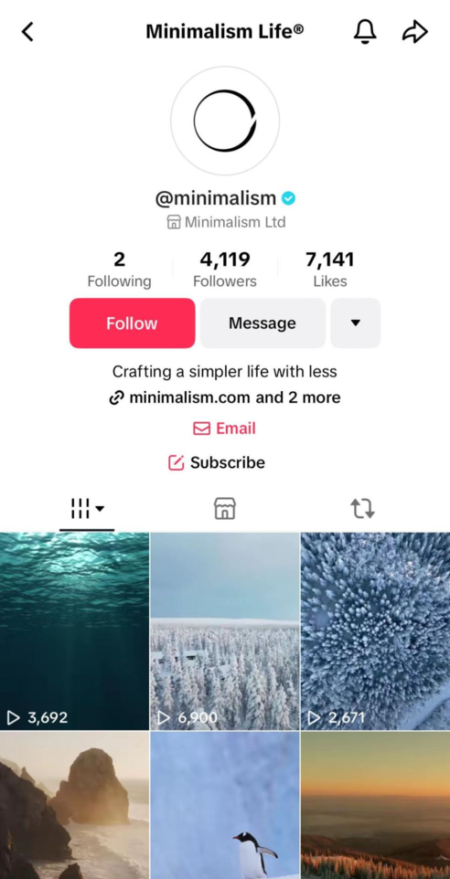 Perfil de una cuenta de TikTok con un enlace a su tienda en línea