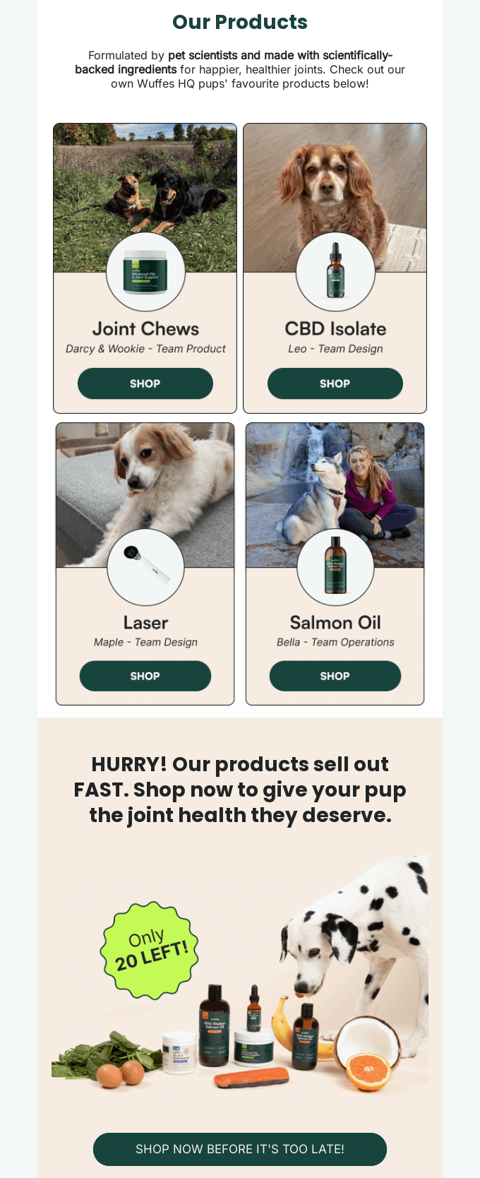 email automation flow to recover abandoned carts