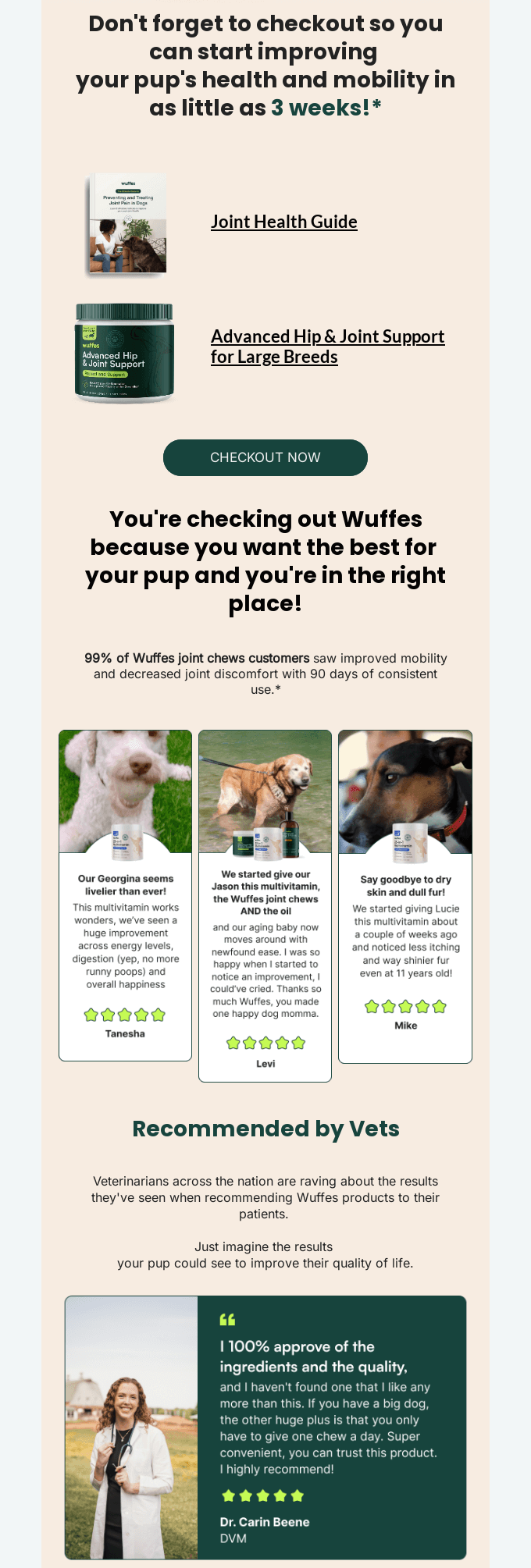 email automation flow