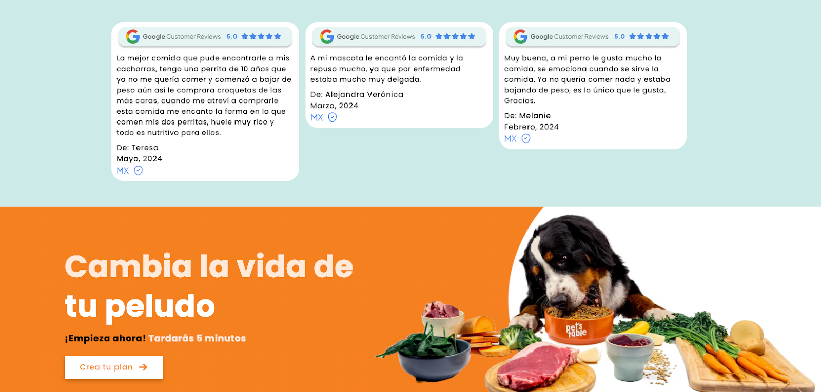 Ejemplo de una landing page con reseñas de Google