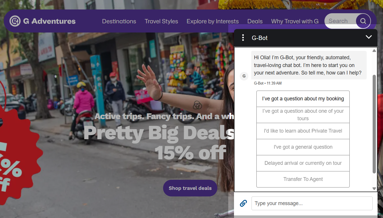 travel chatbot guides users