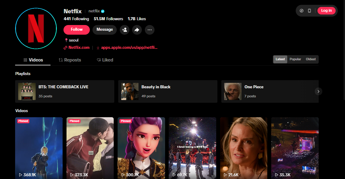 Netflix es un ejemplo de cómo ganar seguidores en TikTok
