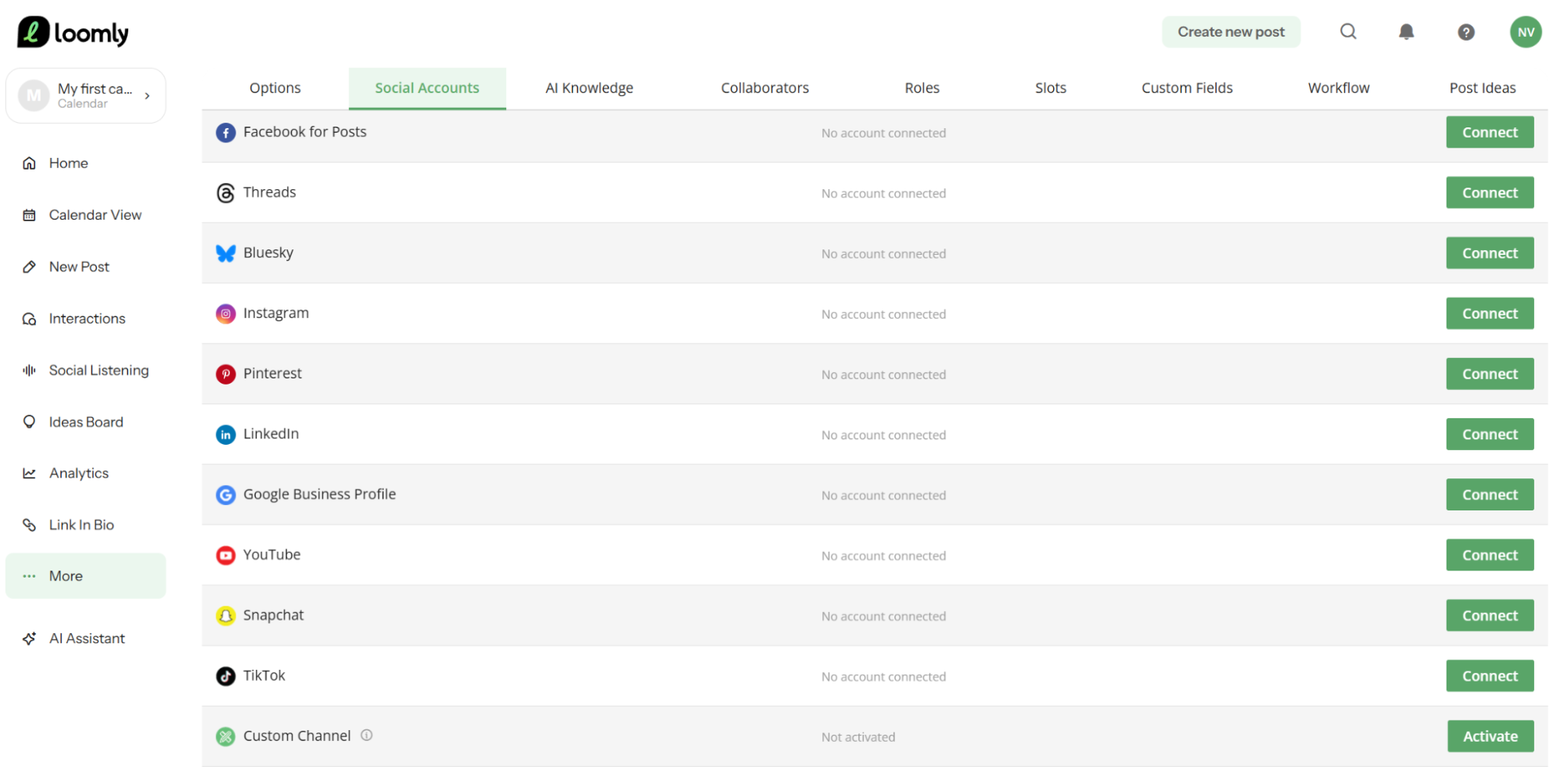 Loomly's Social Accounts tab showing supported platforms