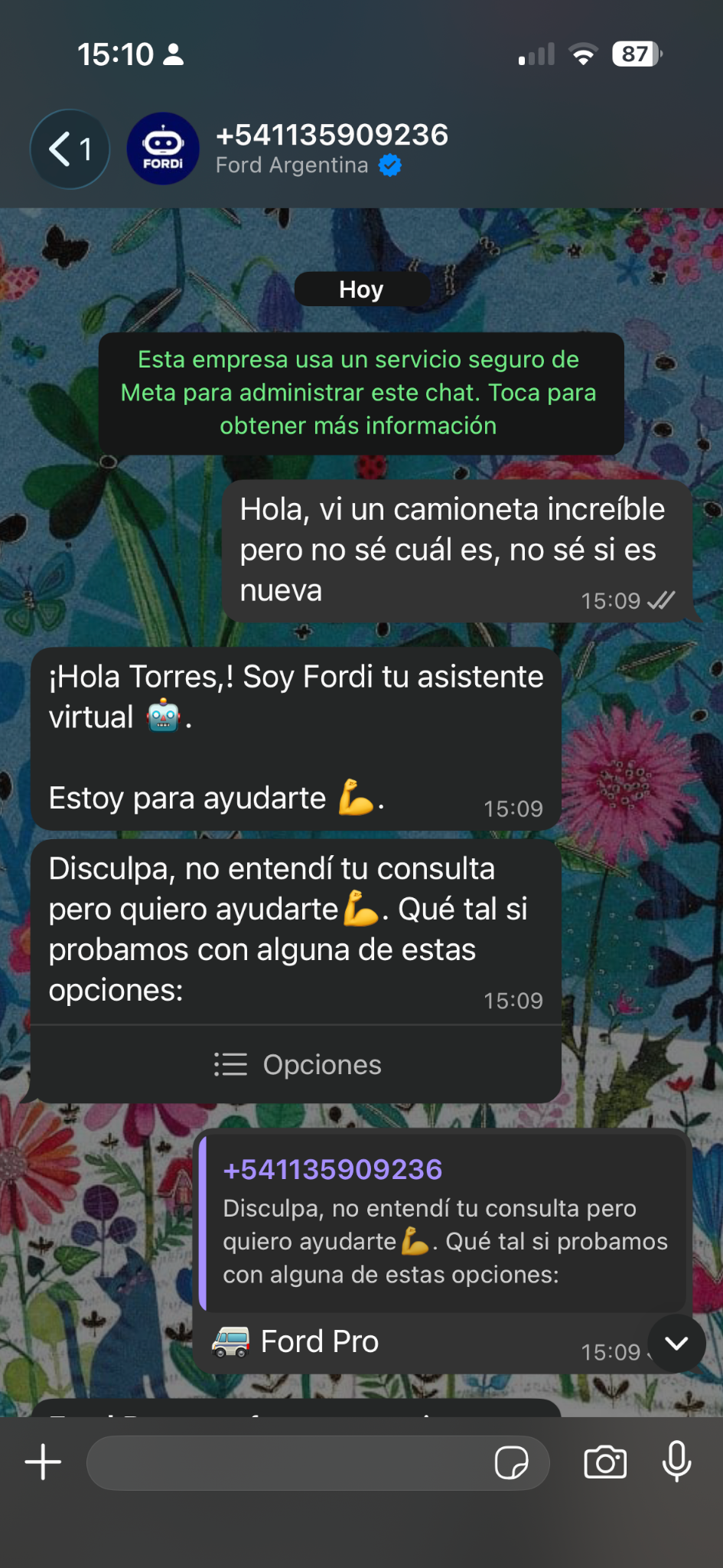 Chatbot con IA de Ford Argentina