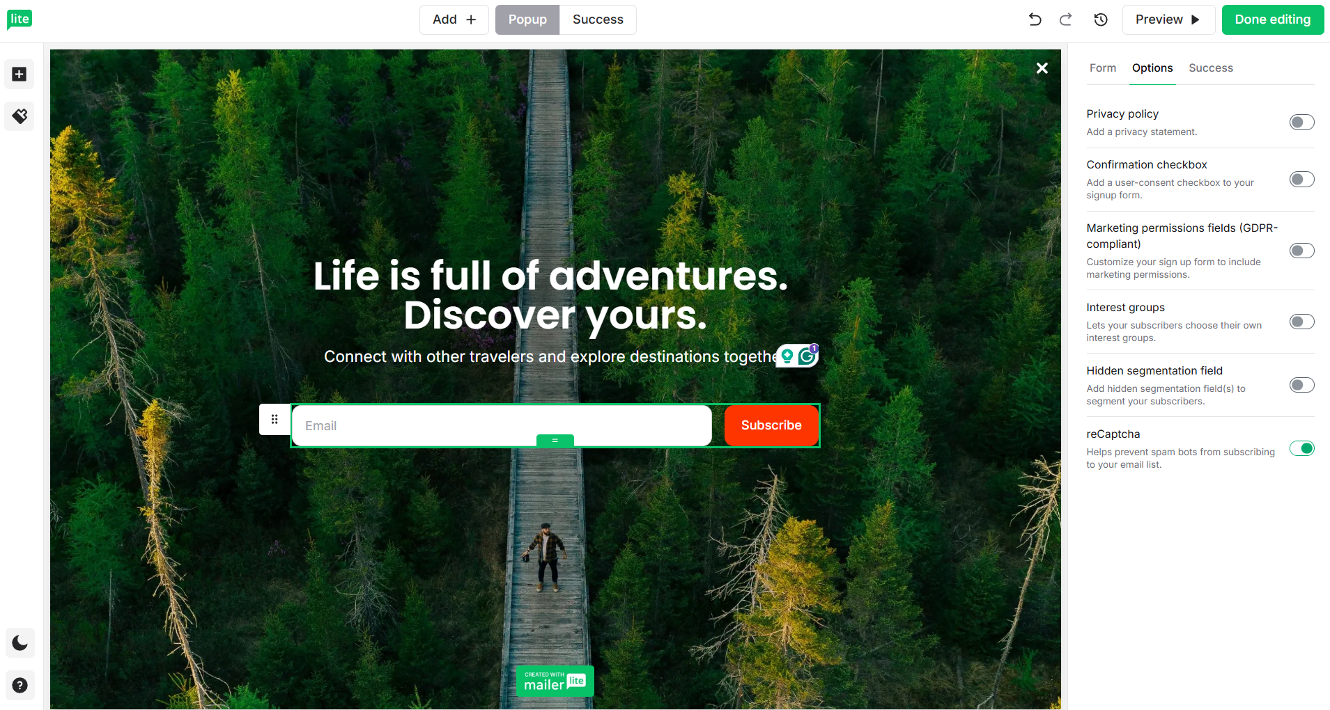 newsletter opt-in form in MailerLite