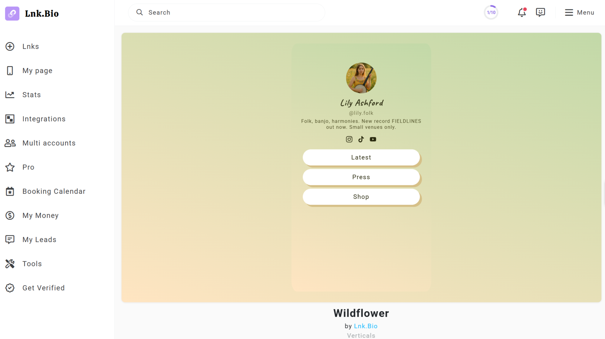 pre-made Lnk.Bio theme 