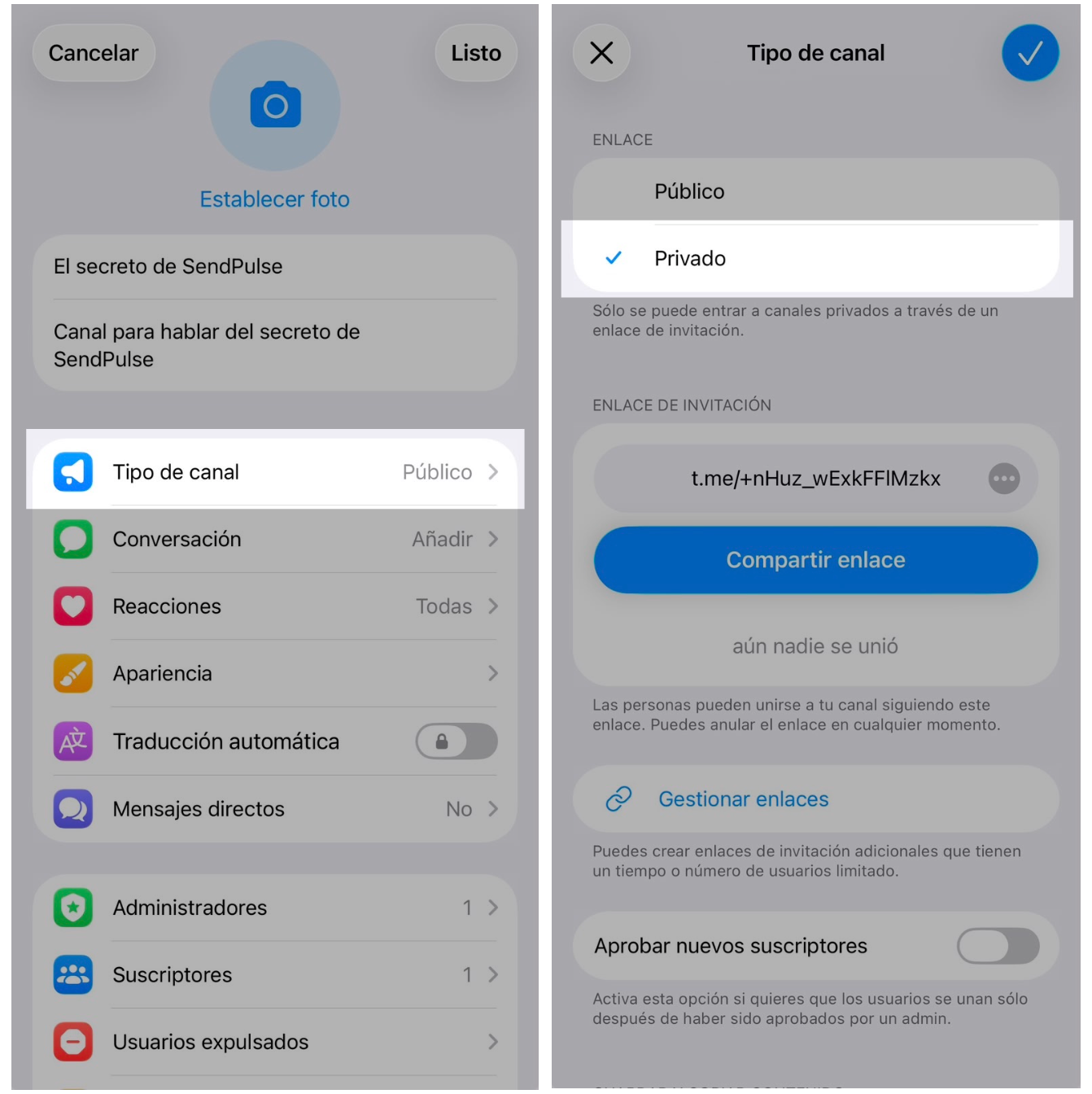 Captura de pantala de la configuracion de un canal en Telegram 